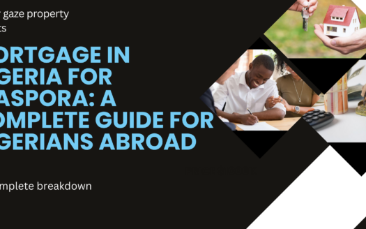 nigerian diaspora investor reviewing property options from abroad