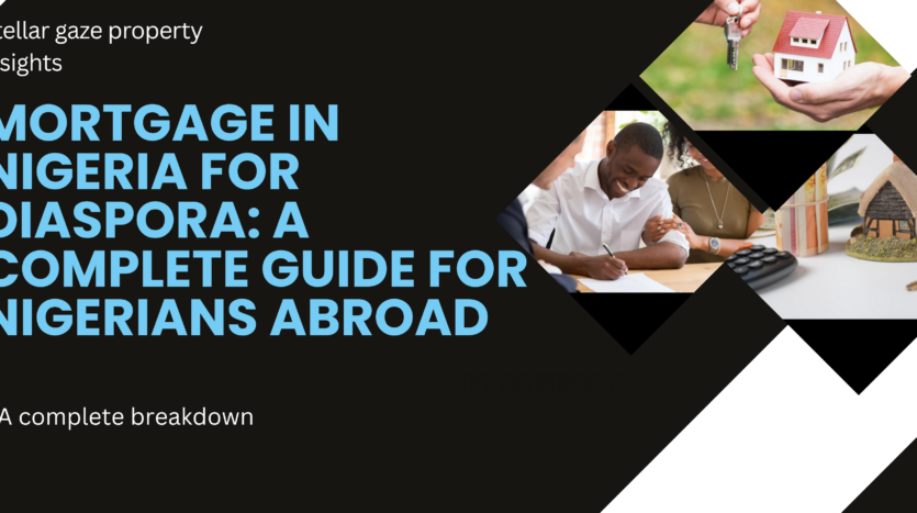 nigerian diaspora investor reviewing property options from abroad
